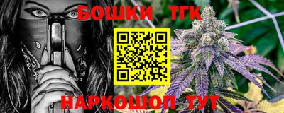 крисы Лесосибирск