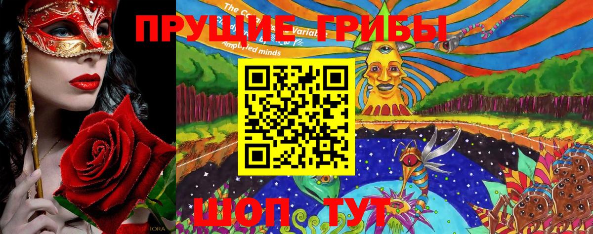 Псилоцибиновые грибы Cubensis Заводоуковск