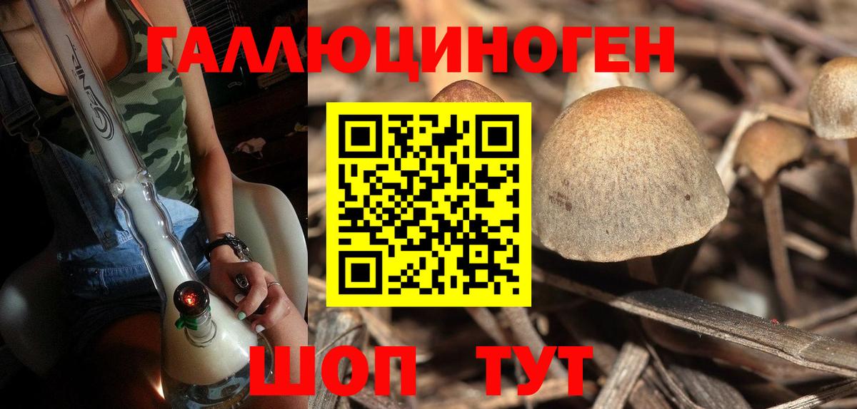 Заводоуковск  Псилоцибиновые грибы Cubensis  Вход с VPN 